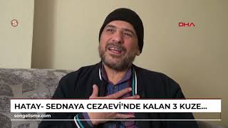 Hatay- Sednaya Cezaevinde Kalan 3 Kuzeni Öldürüldü, Birinden Haber Alınamıyor