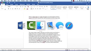 Learning Microsoft Word for Mac 2016 Tutorial | Saving The Document For People Without Word 2016