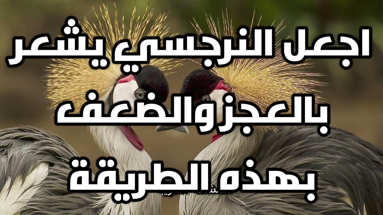 اجعل النرجسي يشعر بالعجز والضعف بهذه الطريقة