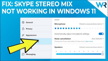 Skype stereo mix not working in Windows 11? Fix it now!