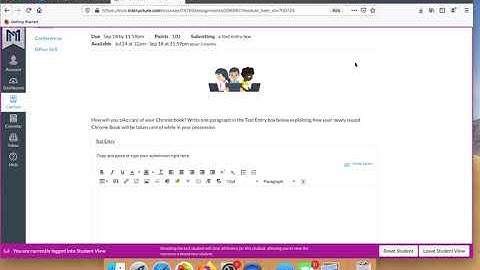 Explanation for Students - How to turn in an assignment with a text entry box