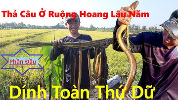 Vlogs ĐT | Thả Câu Lươn Ở Ruộng Bỏ Hoang Lâu Năm Dính Toàn Thứ Dữ (Phần Đầu)