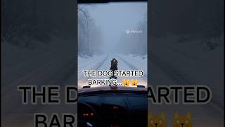 The Dog Knew What Was Hiding in the Fog... #Shorts #ScaryStory #HorrorStory #MysteryStory #DogStory