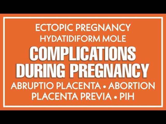 🤰🏻 Common Pregnancy Problems & Solutions : Morph Maternity