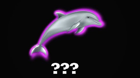 15 Dolphin Sound Variations in 40 Seconds