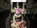 🌺🙏🙏🔱#shiv #mahadev #shiva #mahakal #bholenath #har har mahadev #kedarnath #shivshakti #bhole .🌼🙏🙏🔱🪷