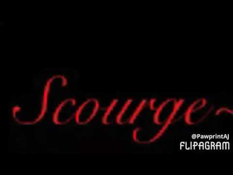 Scourge~ Dangerous WoMAN