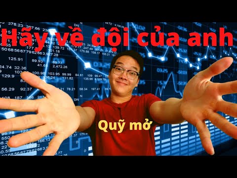 Quỹ mở là gì? 6 tiêu chí để chọn quỹ mở tốt ! | Thanh Cong TC |