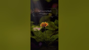 (فَصَبْرٌ جَمِيلٌ ۖ وَاللَّهُ الْمُسْتَعَانُ عَلَىٰ مَا تَصِفُونَ)/ القارئ إسلام صبحي