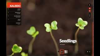 Kaleido Fullscreen - Creating Fullscreen Slideshows