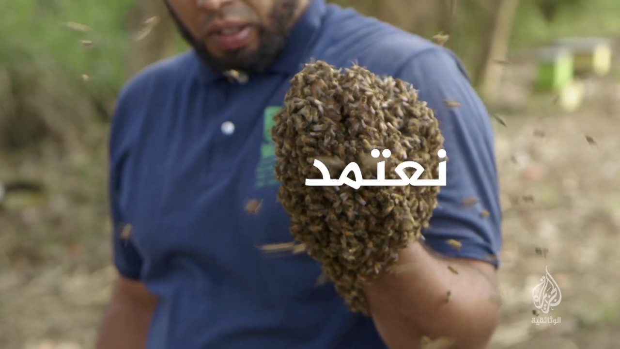 سفراء الحياة (برومو) 08 سبتمبر - 22 مكة المكرمة
