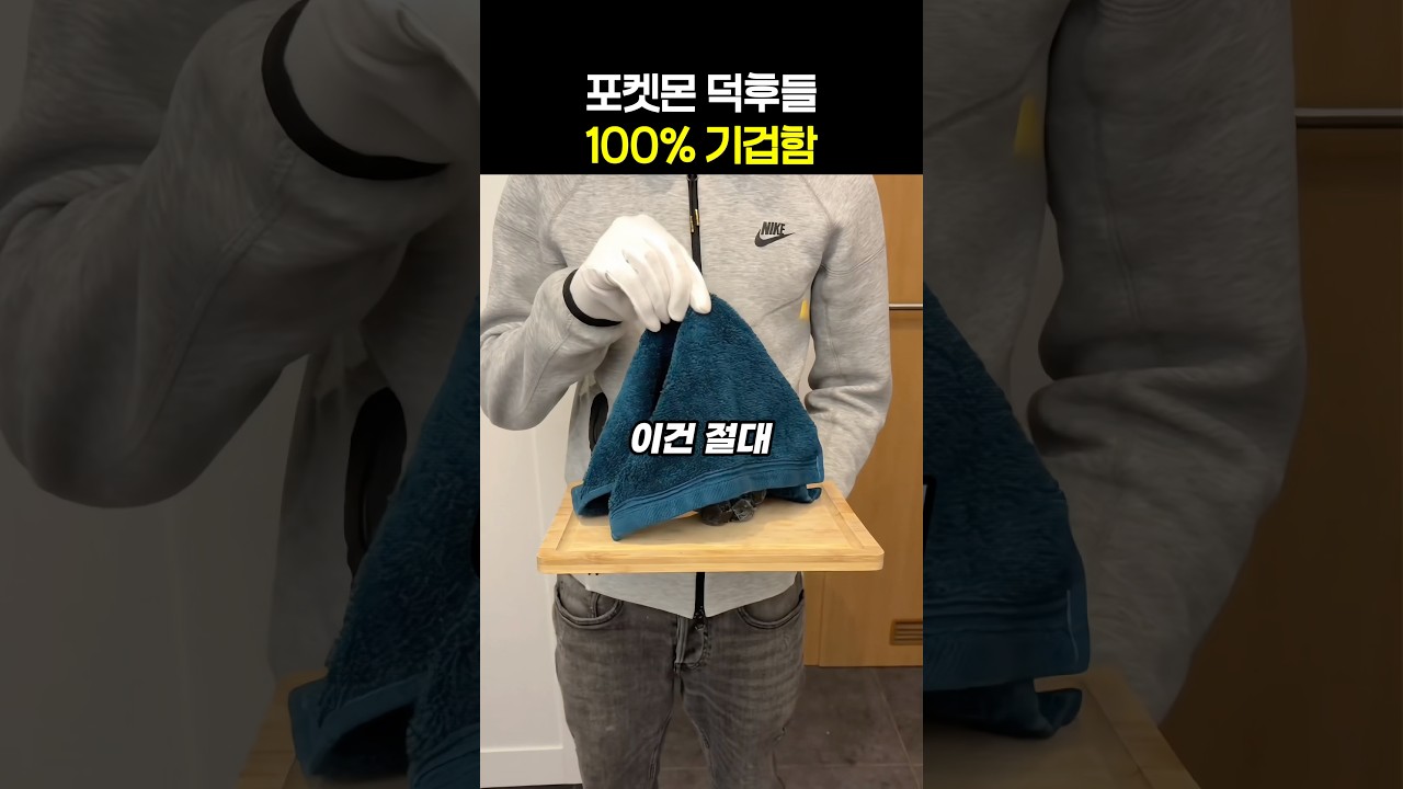 포켓몬 덕후들 100% 기겁함