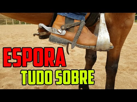 Vídeo: Espora