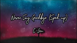 Never Say Goodbye(sped up)(official lyric video)