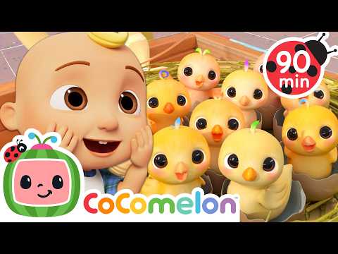 Grandpa's 10 Baby Chicks! 🐥| CoComelon | Life at Sea | Kids Learning | Toddler Show