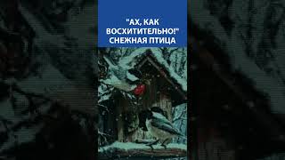 &quot;Ах, как восхитительно!&quot; Вышивка Крестиком. Снежная птица