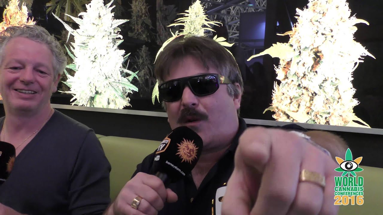 Barney's Tv  Spannabis 2016