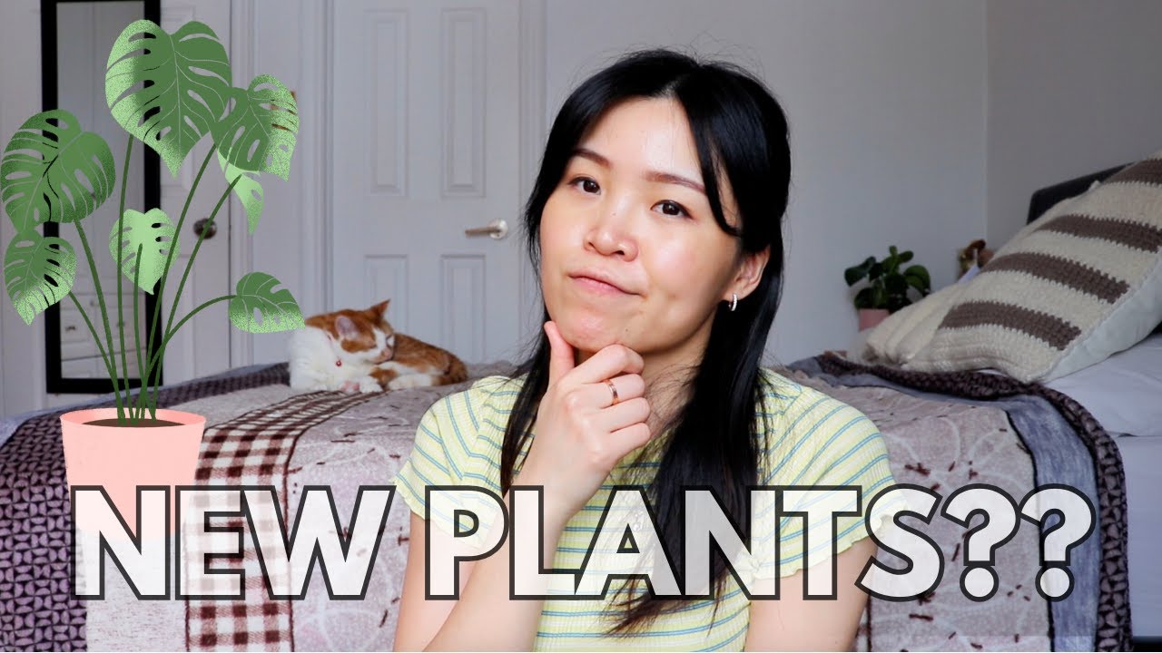 Plants I NEED to buy in 2024 | Houseplant Wishlist