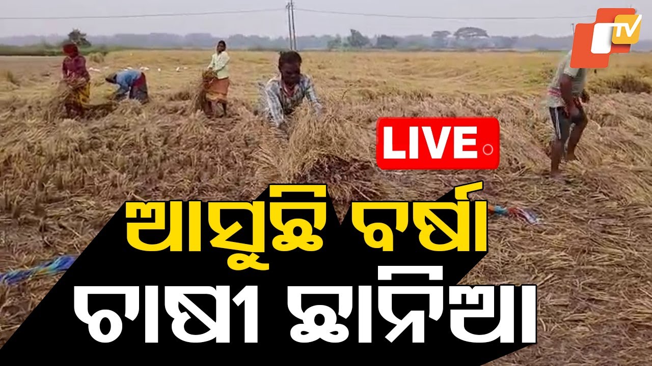 Live | ଆସୁଛି ବର୍ଷା ଚାଷୀ ଛାନିଆ | Heavy Rain Fall | Weather Update | Odia News