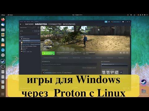 Вся правда о Steam Play - игры для Windows через систему Proton с Linux