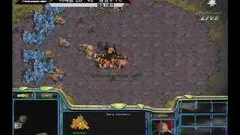 Jaedong vs Stork Pt1/2 On Persona