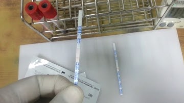 Syphilis Quick test