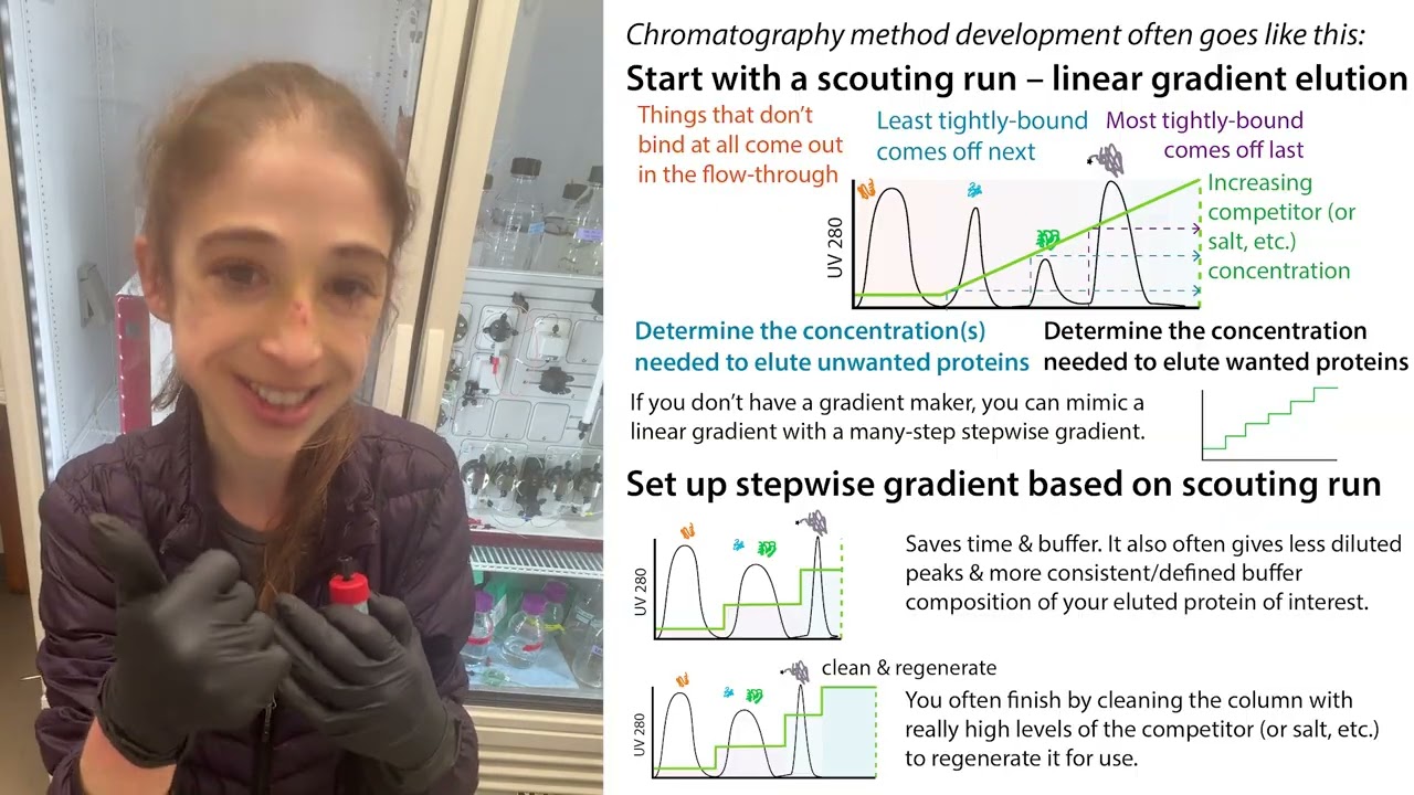 Gradient elution strategies for protein chromatography (esp. His-tag chromatography via Ni-affinity)