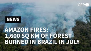 Fires rage in Brazilian Amazon, reach farms | AFP