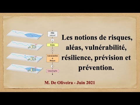 Vidéo: Types et concept de situations de crise