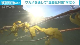 ワカメで学ぶ地球温暖化　子どもたちが植え付け体験(2021年12月12日)