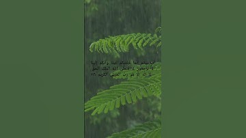 #سورة المؤمنون#القارئ عبد الباسط عبد الصمد #استغفرالله ربي واتوب اليه #اللهم صلى على محمد وآل محمد