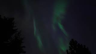 Aurora Borealis May 11 2024 Timelapse short | DJI Osmo Pocket 3 | Calgary relaxation