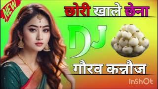 DJ Gaurav Raja छोरी खाले छेना #dj_ remix_ vira_l video_ song