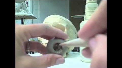 Instructable Media Project