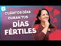 DÍAS FÉRTILES: cómo calcular e identificar sus síntomas