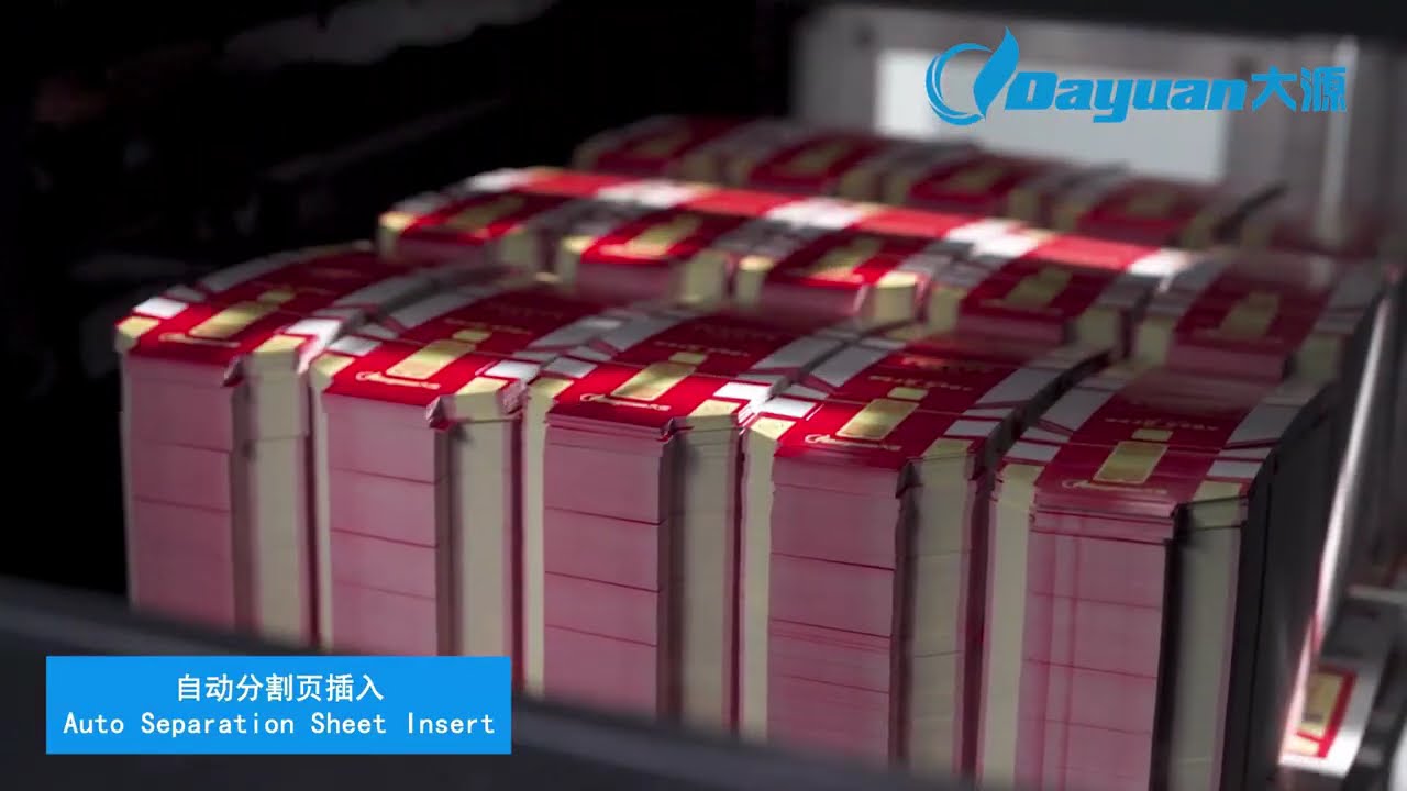 BHT-1060SCE Automatic Die Cutting And Creasing Machine With Stripping & Blanking - Technical Demo