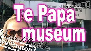 Te Papa Museum In Wellington 惠靈頓博物館