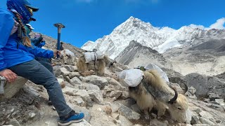 Peace Run joins the Everest Marathon, Nepal 2023