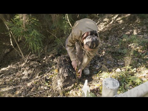 SUNTORY'S WHISKY『アンバージャーニー 山崎篇第6回』2分 井川遥 サントリー