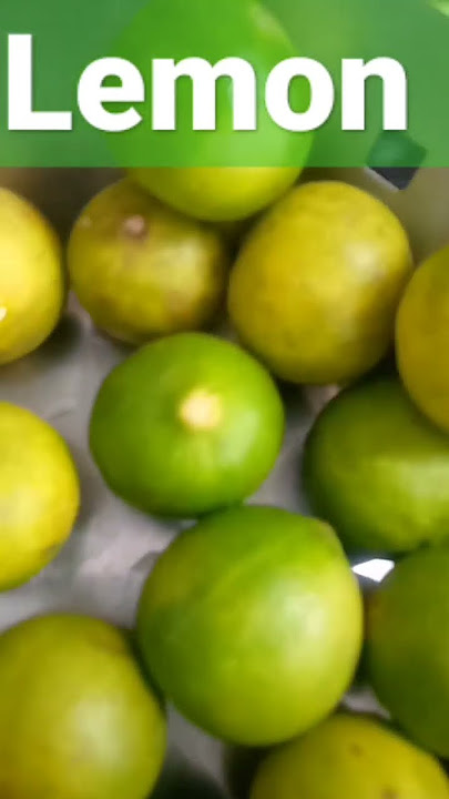 Download lagu lemon 🍋 #popular #shortsvideo #shorts #lemonade #nimbusplatform #nimbu #nibu #lemongrass #lemon