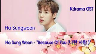 하성운 (Ha Sung Woon) – 나란 사람 (Because Of You) Lyrics Flower Crew: Joseon Marriage Agency OST Part 5