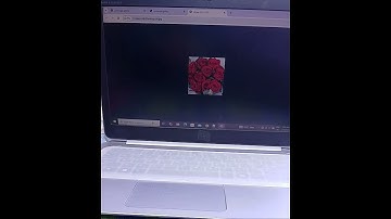 Web designing css ll css image gallery ll O