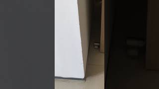 IMG 4615