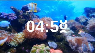 5 Minute Timer Relaxing Music Lofi Fish Background