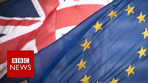 What happens after the EU Referendum? BBC News