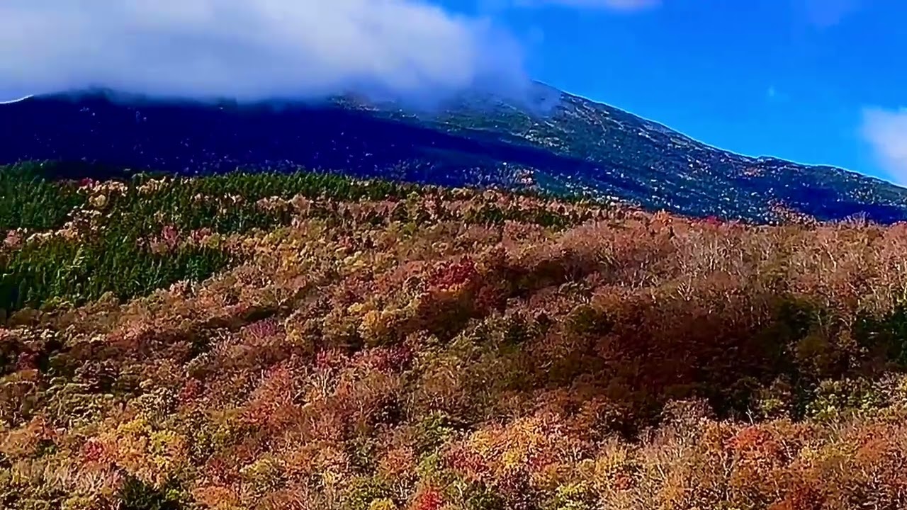 2025 FALL FOLIAGE IN THE WHITE MOUNTAINS - Featuring Pinkham, Dixville and Crawford Notches