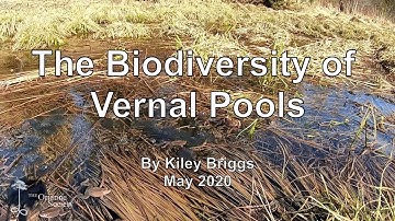 Vernal Pool Biodiversity Workshop by Kiley Briggs