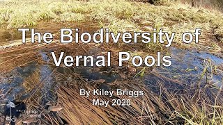 Vernal Pool Biodiversity Workshop by Kiley Briggs