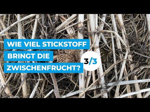 Video: Ist stickstofffrei bei costco?