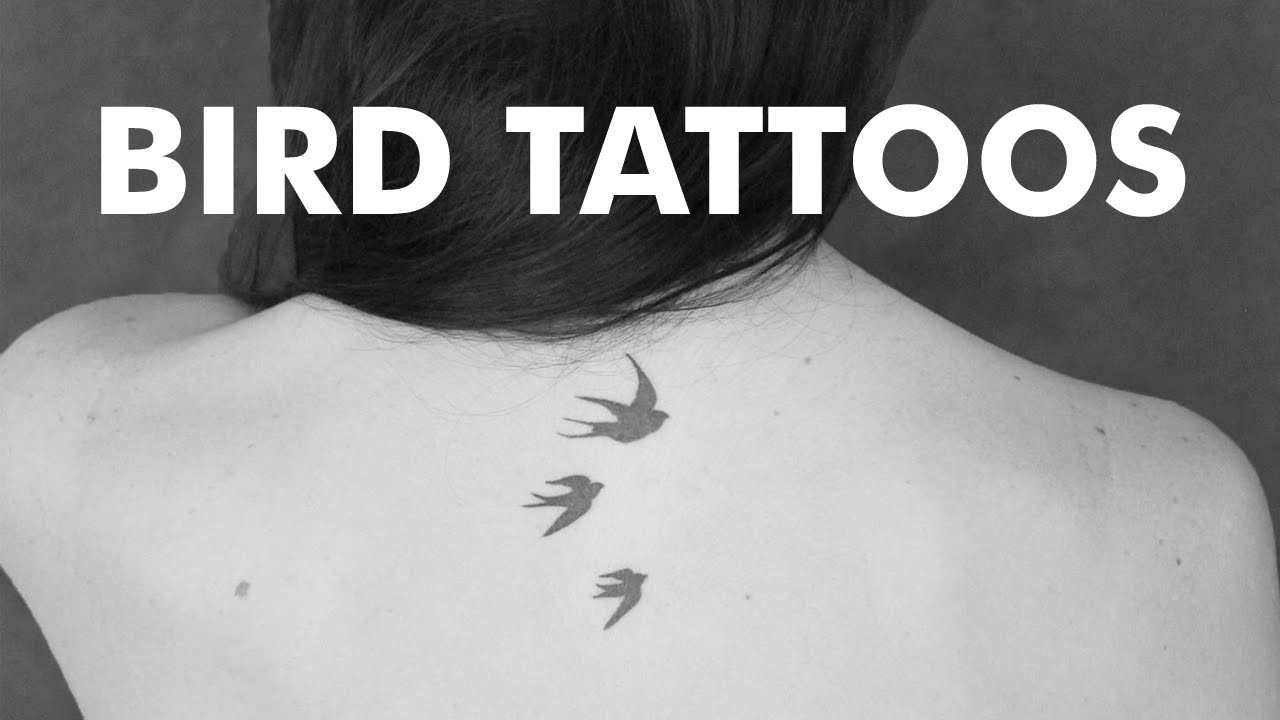 20 Lovely Bird Tattoo Designs - YouTube